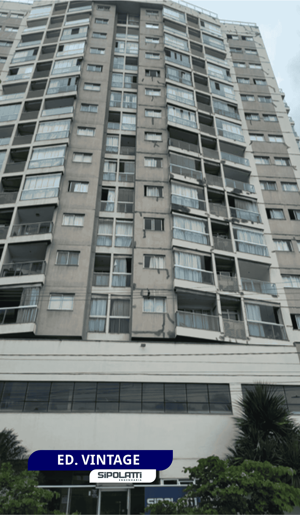 43 - ED. VINTAGE.png